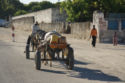 Muqdisho (biyo-keenid)