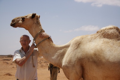 Puntland (geel)